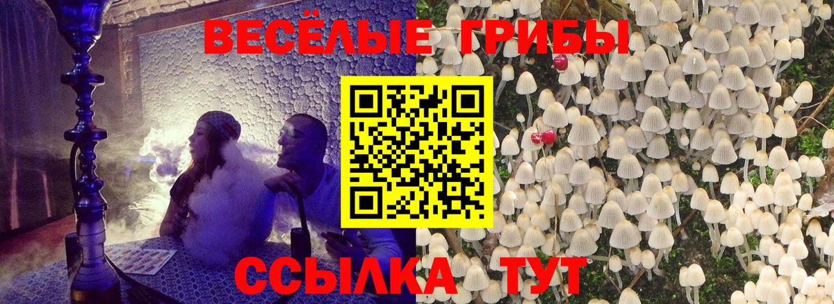 Балтийск  Псилоцибиновые грибы Psilocybine cubensis  Вход с VPN 