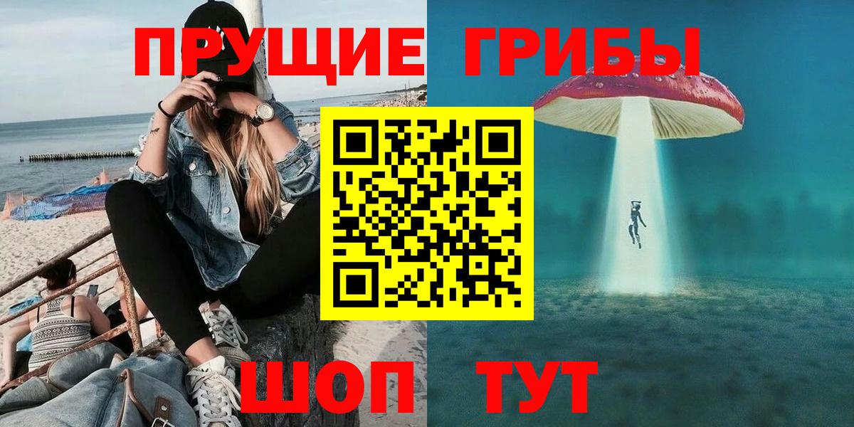 Галлюциногенные грибы Psilocybine cubensis Балтийск
